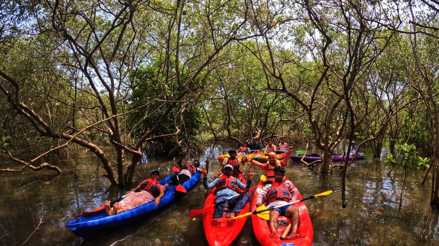 A group of people in red and blue kayaks paddling through a dense mangrove forest with still waters at Paradise Lagoon Resort, Udupi.