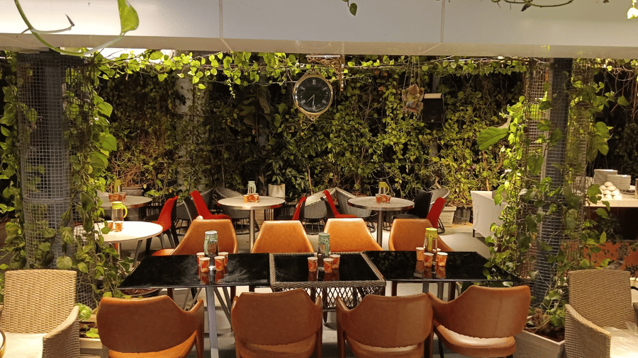 An 8-seater dining table at the Rooftop Cafe at SRS Suites, Koramangala, with a wall behind it filled with green creepers.