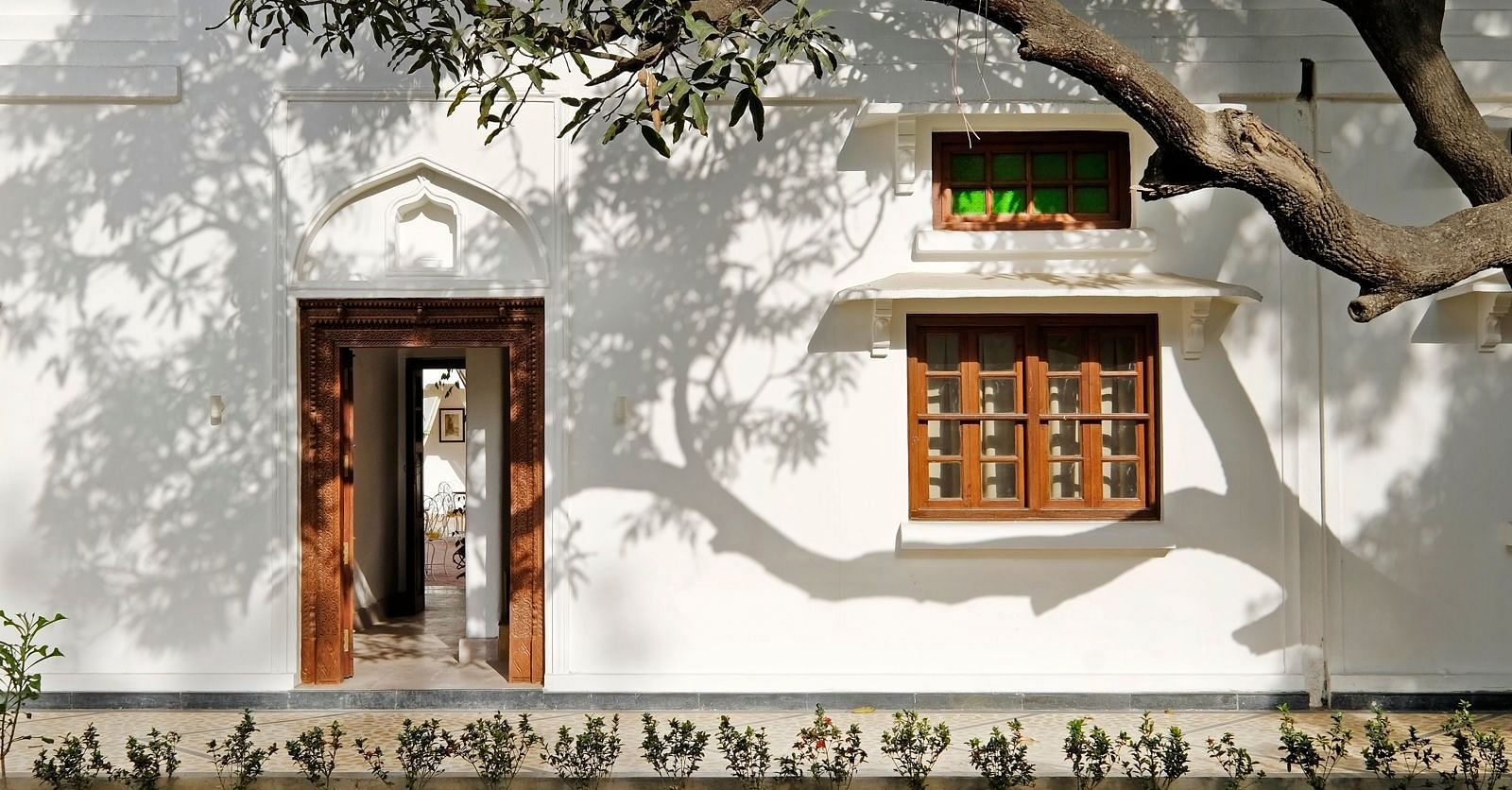 Mango Tree Lawn