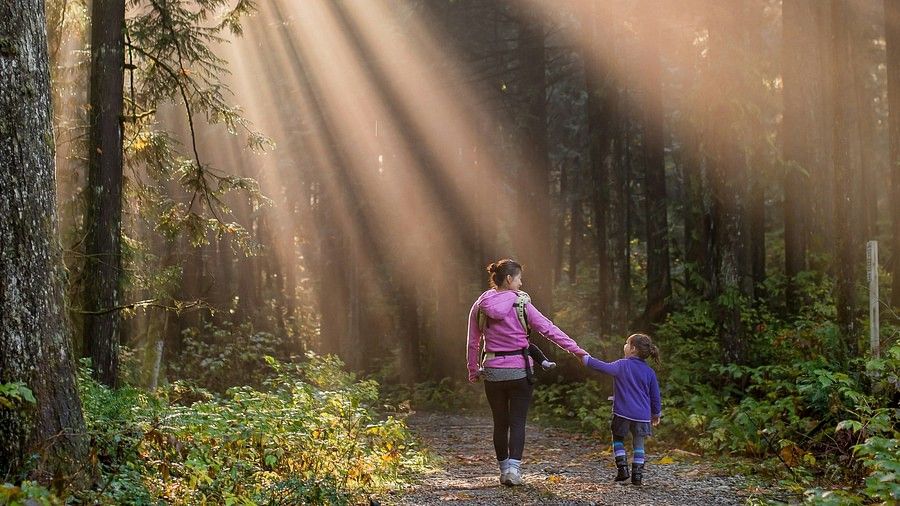A mother and her child enjoy a daytime walk in a forest, surrounded by lush greenery and dappled sunlight filtering through the trees.