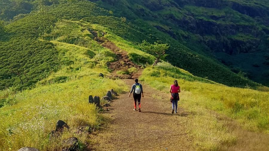 People trekking up a hilly trail