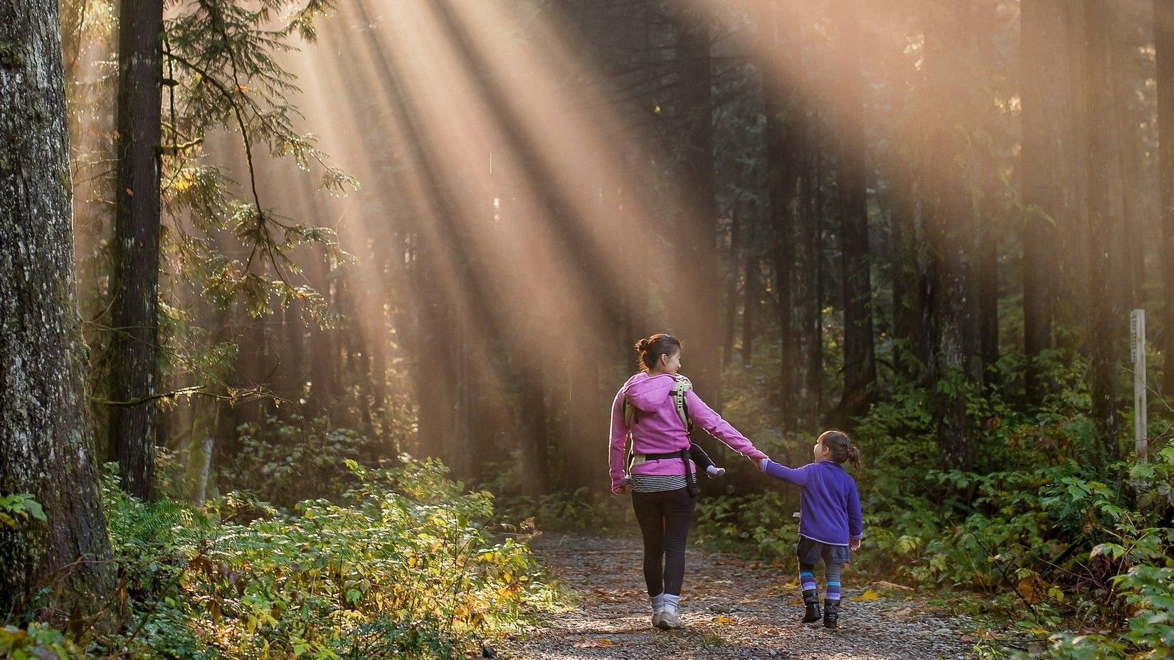 A mother and her child enjoy a daytime walk in a forest, surrounded by lush greenery and dappled sunlight filtering through the trees.