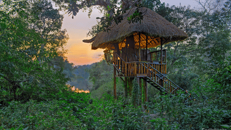 A thatched-roof treehouse structure nestled in a lush forest during a vibrant orange sunset at an Earthitects property.or