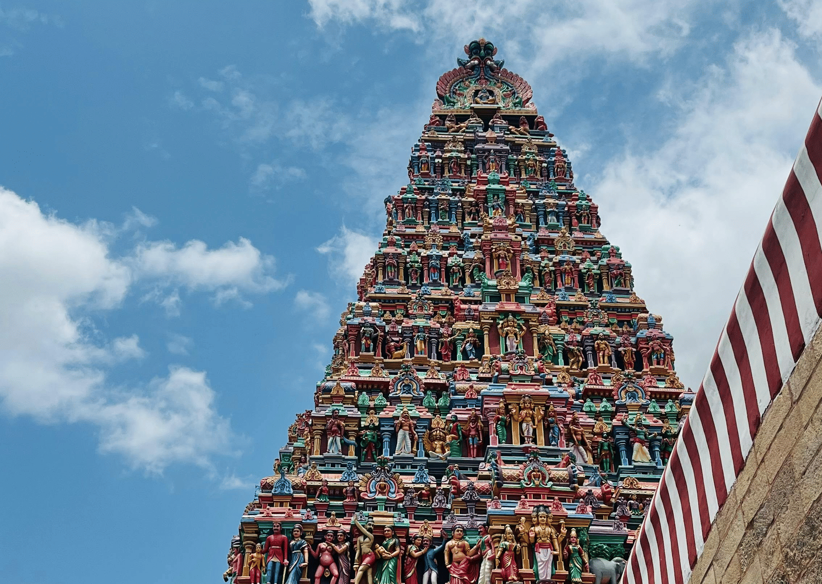 pexels-hari-1479979161-27579115