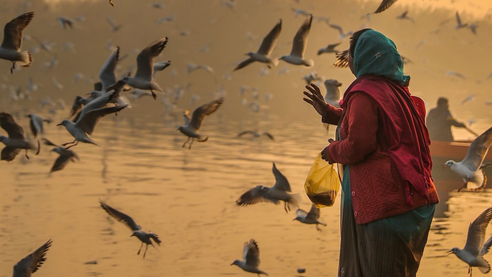 An image of a flock of birds flying around a women standing at the edge of a lake