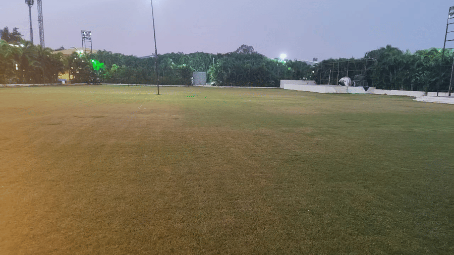 An evening view of a lawn with well-maintained grass illuminated by tall lights at Gulmohar garden of Papaya Tree Hotels.