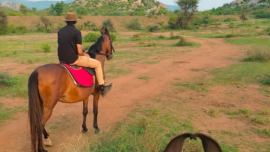 An image of a man riding a horse amidst open fields with greenery - Utsav Camp Sariska