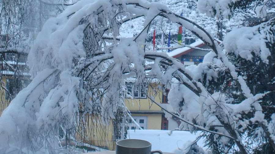 a mug on a table with snowy trees in the background