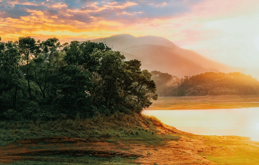 thanuj-mathew-6diM4O5BxOs-unsplash
