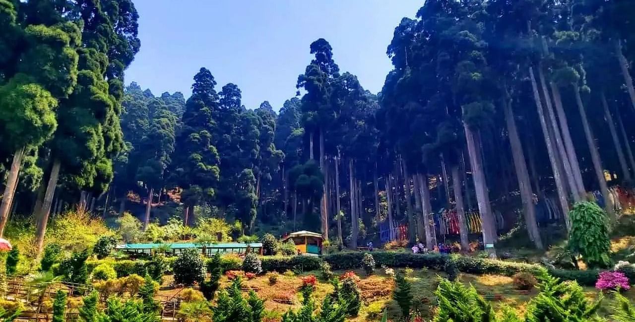Lush scenery with lots of plants and trees surrounding the area