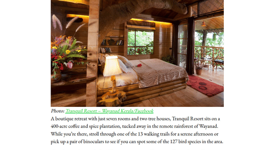 A media article featuring the warm wood interior of a cosy treehouse bedroom built around a tree trunk at Tranquil Resort, Wayanad.