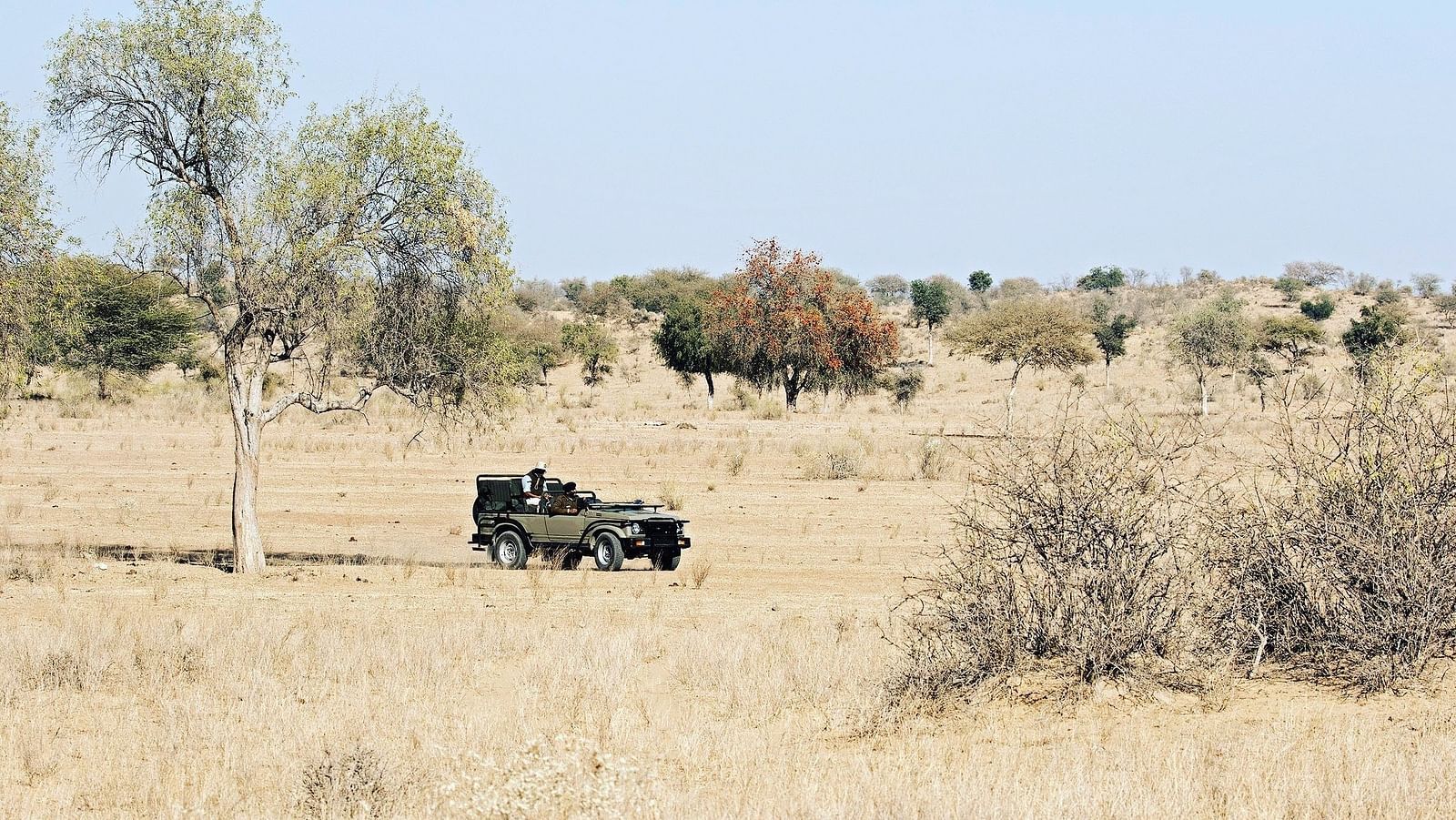 A safari jeep exploring the desert landscape at Manvar Resort & Desert Camp