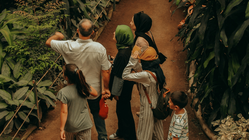 A vertical shot from behind of a small group of people walking down a narrow dirt path inside a dense tropical greenhouse.