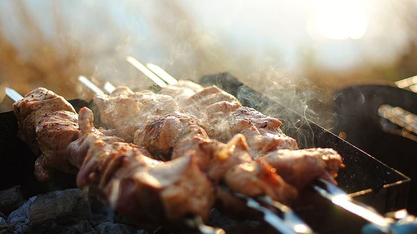 shish-kebab,Nirvana Sarovar Portico, restaurant in Gorakhpur