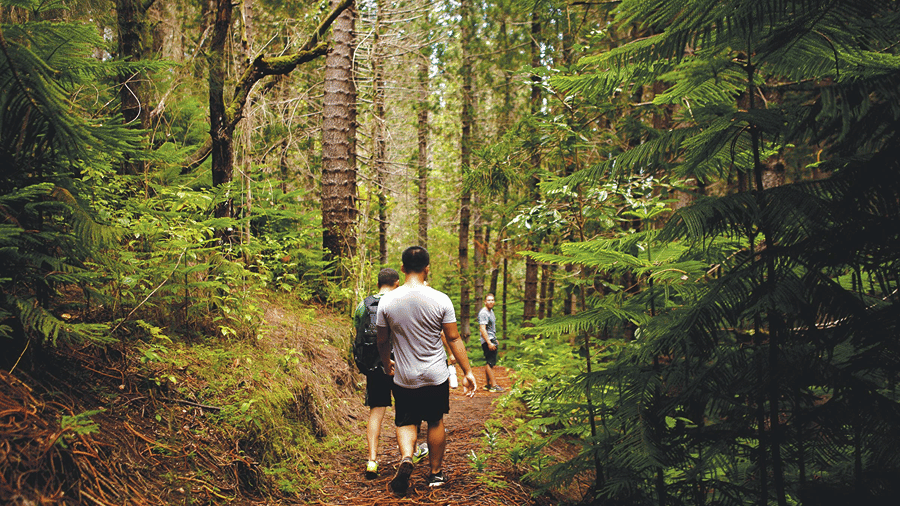 2 people walking on nature trails on rocky paths surrounded by greenery