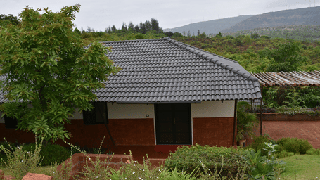 Cottage front view with trees and open space around the structure at Forest Escapes.