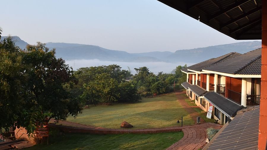 a ground-level view at Forest Escape resort, featuring buildings and a pathway surrounded by lush greenery.