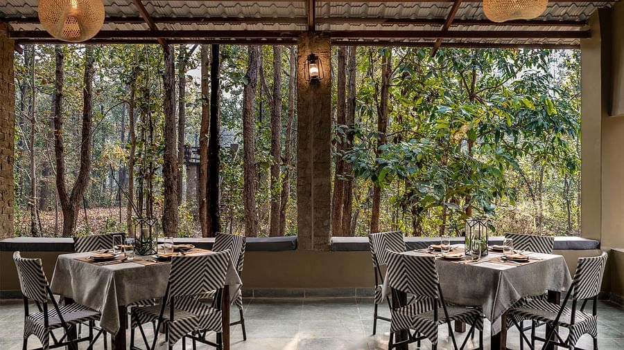 In-house Dining setup at Saccharum Safari Lodge, Balaghat