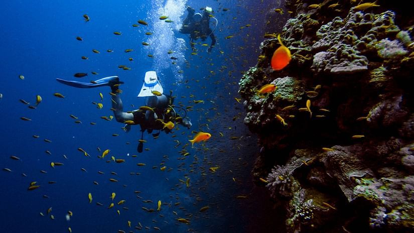 scuba diving at palolem beach