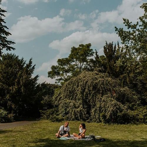 people on a picnic 29