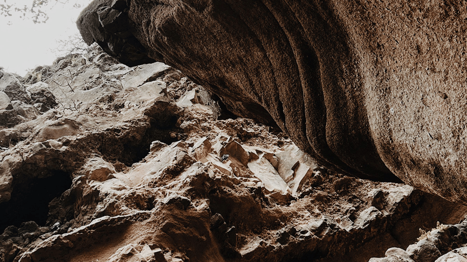 Partial view of the walls of a cave.