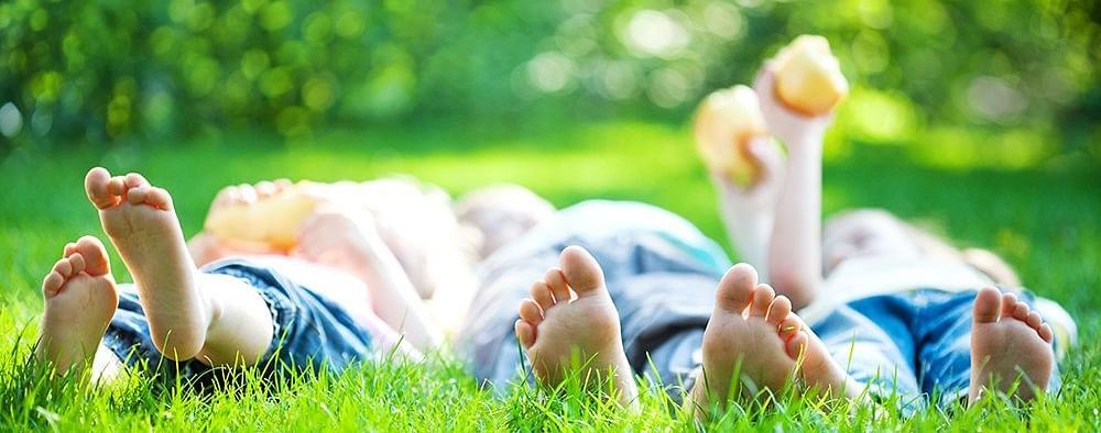 Family Package Hill Country Colelctions Hotels in Kodaikanal Resorts in Ooty Club Resort in Varkala