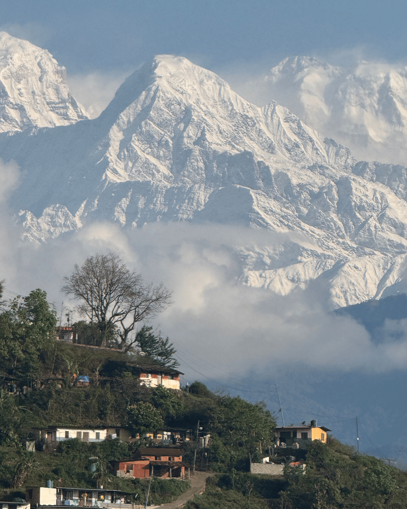pexels-chhabiraj-adhikari-2157043271-37159518