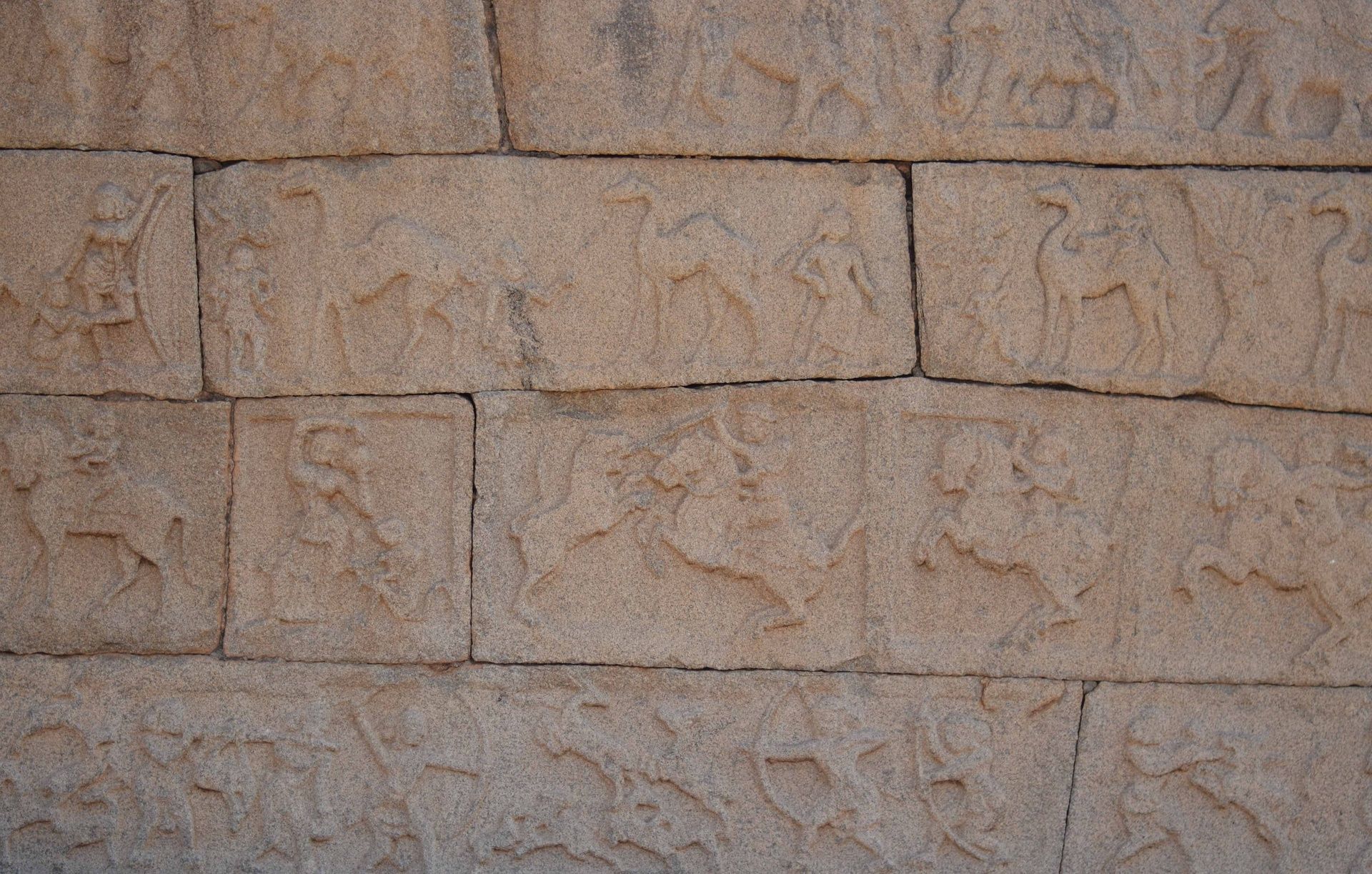 Hampi stone bas-reliefs of camels, horses, and elephants.
