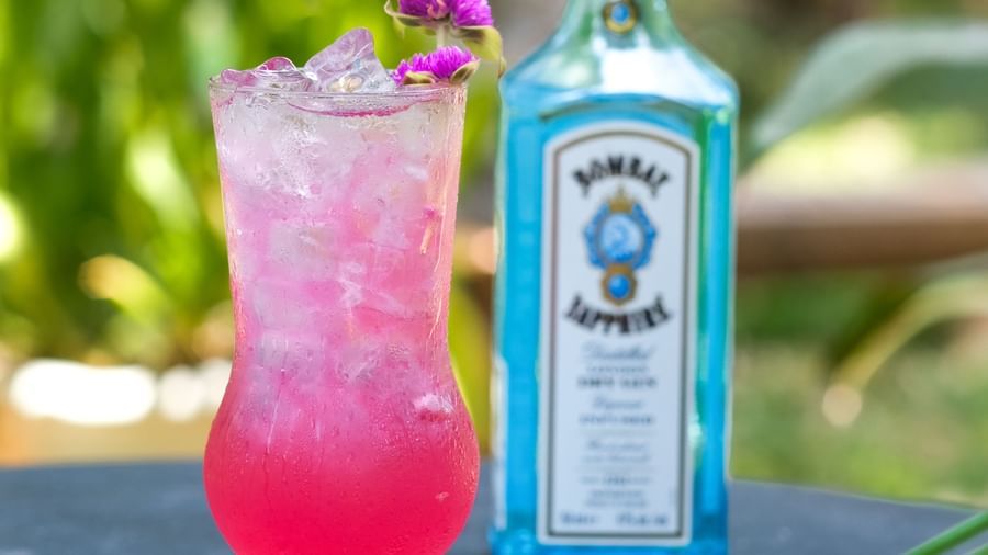 A glass of Pink Gin with a bottle of bombay sapphire behind it | Mango Hill, Pondicherry