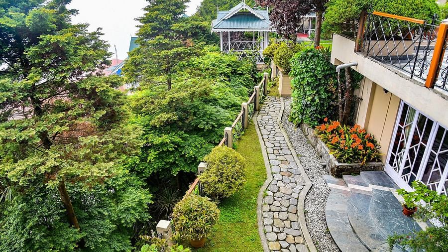 Pathway and lush greenery alongside Cedar Inn building