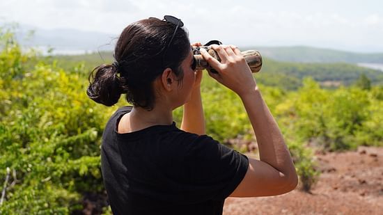 A person using binoculars for bird watching - Stone Wood Nature Resort, Gokarna
