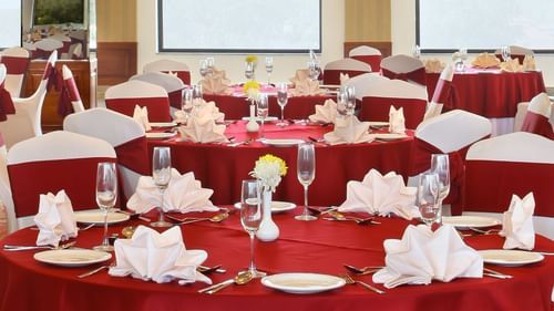 Banquet Halls at RS Sarovar Portico Palampur, Hotels in Palampur 8
