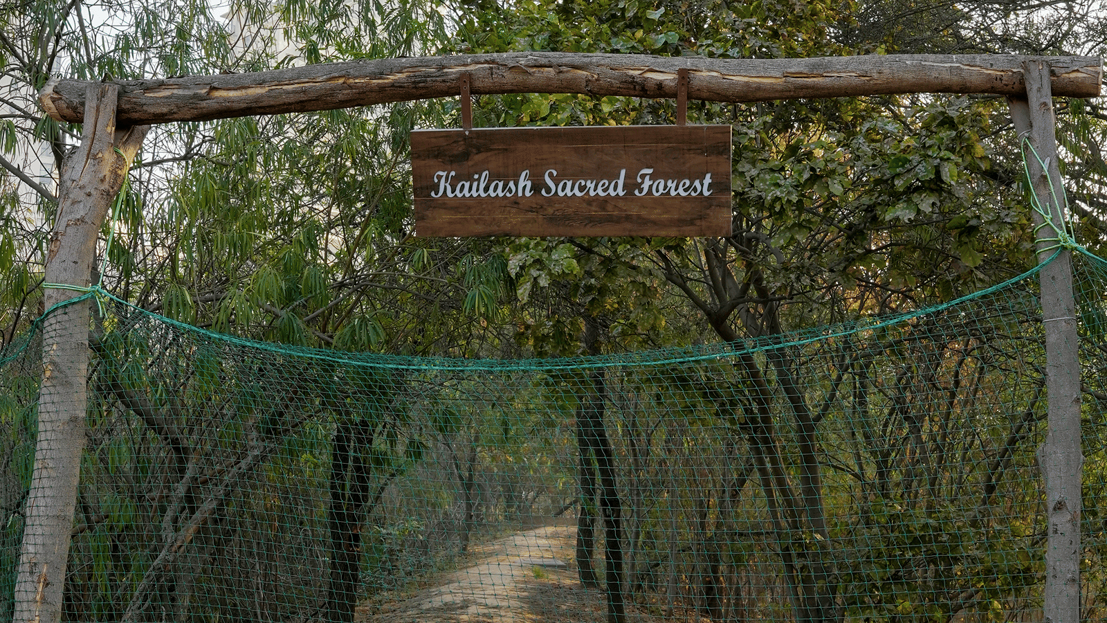 kailash-forest-2