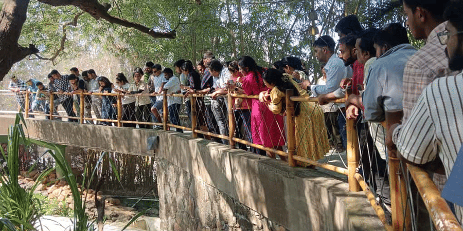 A large group of people standing on a bridge at EsselWorld Bird Park, Mumbai, looking down into an enclosure surrounded by trees and greenery.