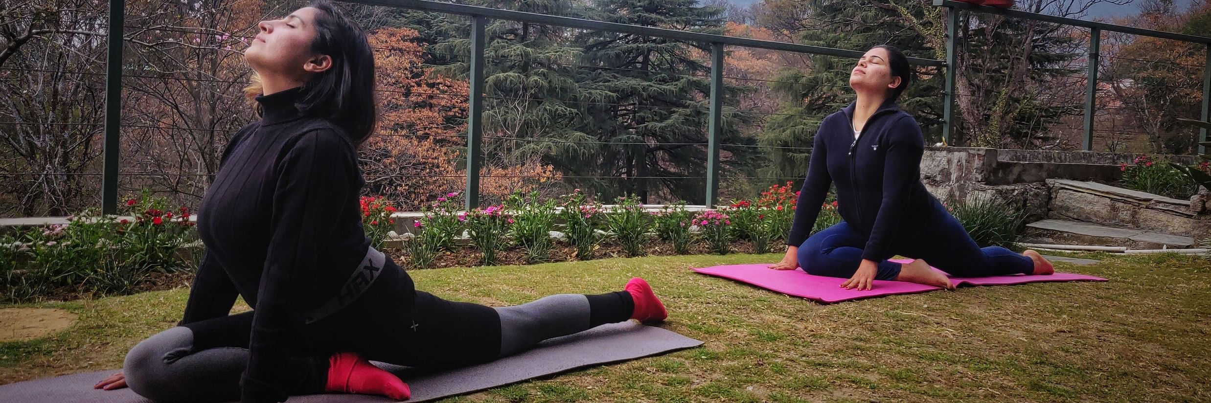 Yoga 3 - @ Lamrin Norwood Green, Palampur