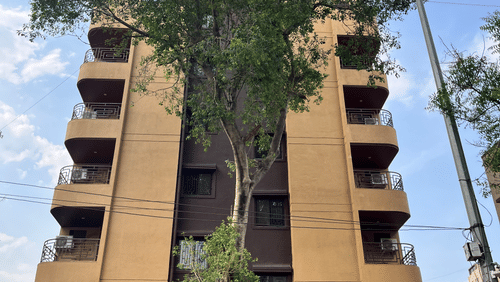 Facade view of the VITS Select Kharadi, Pune - A premium hotel in Kharadi, Pune, with a large tree in foreground and buildings and blue sky in background.