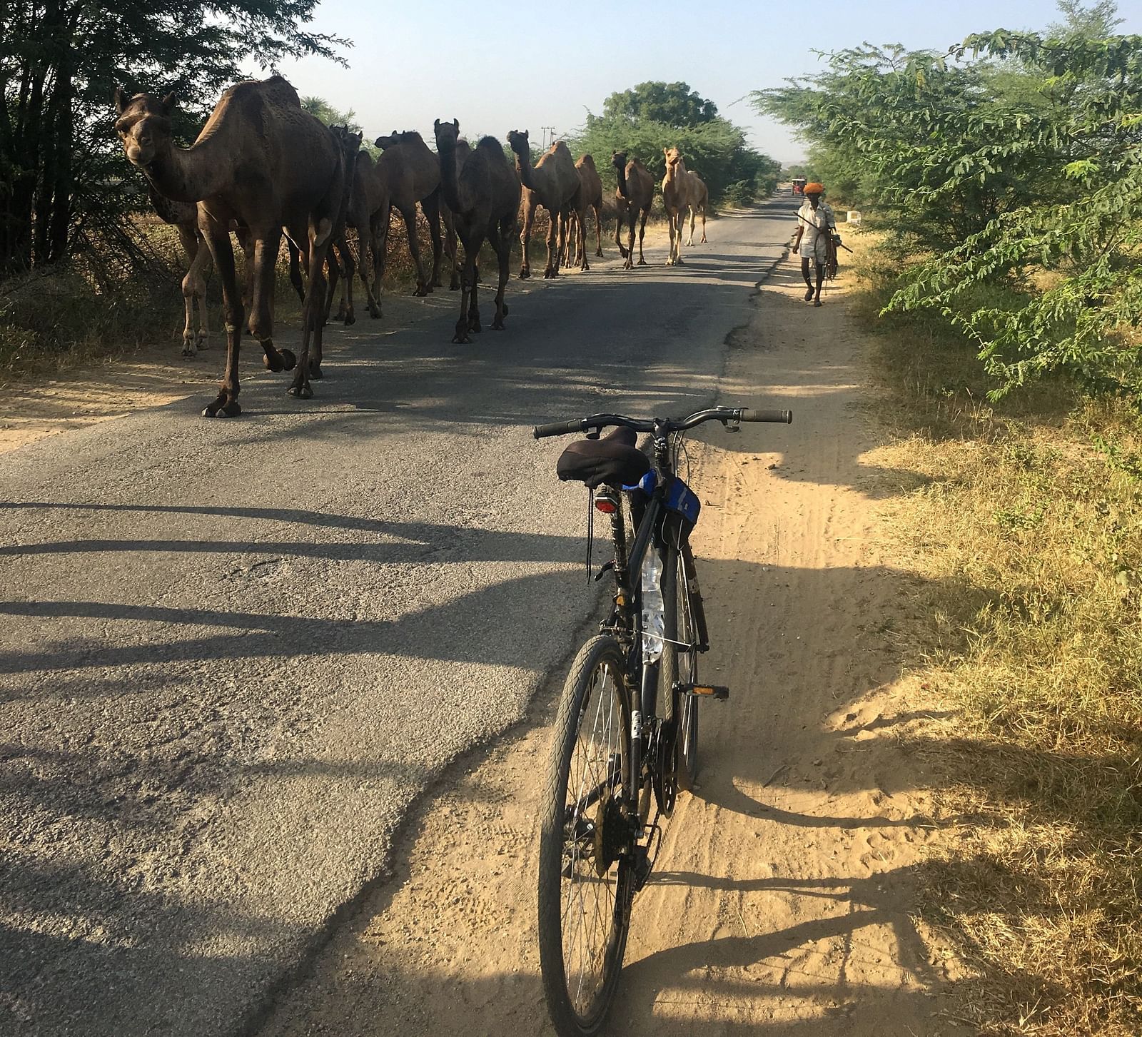 image featuring a cycle parked on the roadside