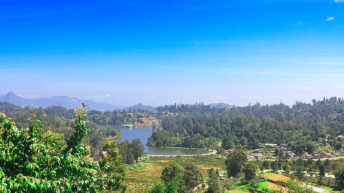 Panoramic view of Kodaikanal valley featuring Kodai Lake, dense forests, rolling hills, and clear blue skies stretching across the horizon.
