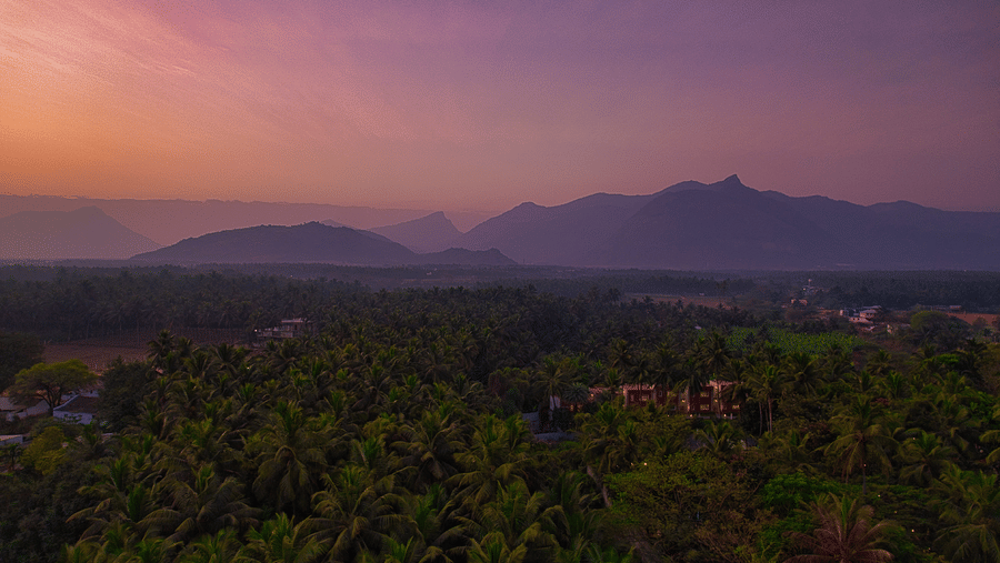 A wide shot of a landscape featuring greenery and mountain range in the background - Mango Hill Resort, Coimbatore