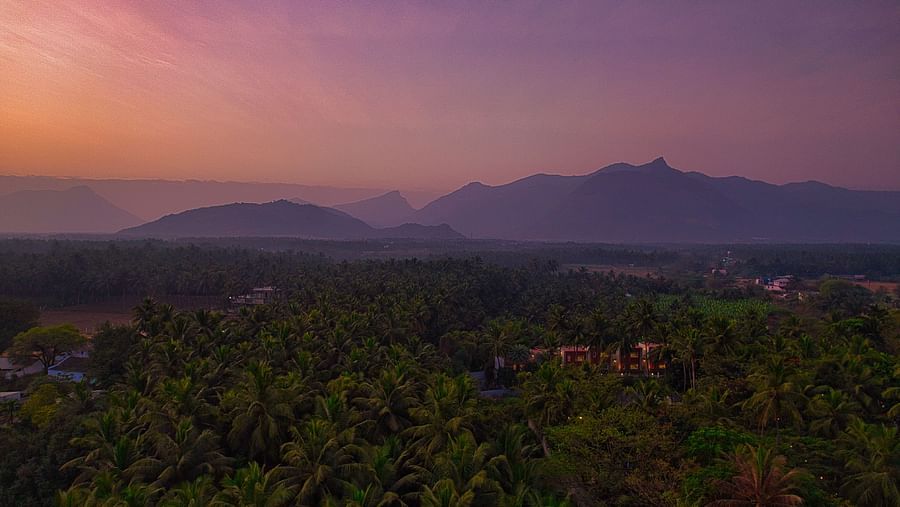 A wide shot of a landscape featuring greenery and mountain range in the background - Mango Hill Resort, Coimbatore
