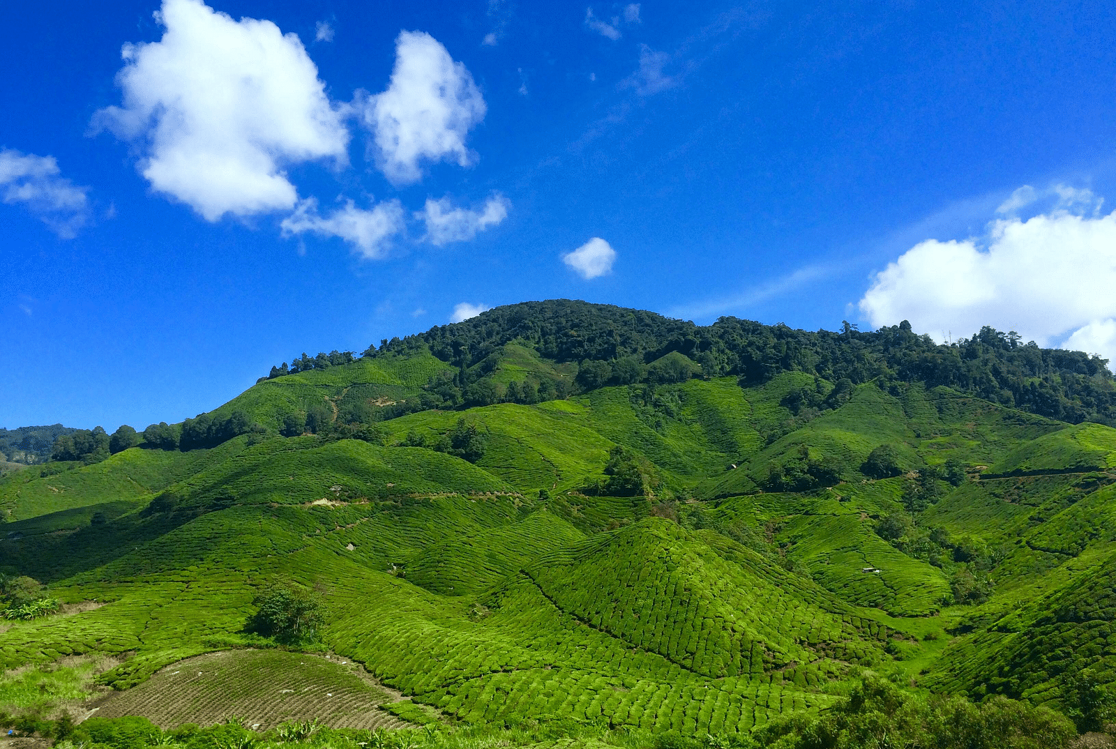 Hills lush with dense vegetation and trees, beneath a sky dotted with scattered clouds