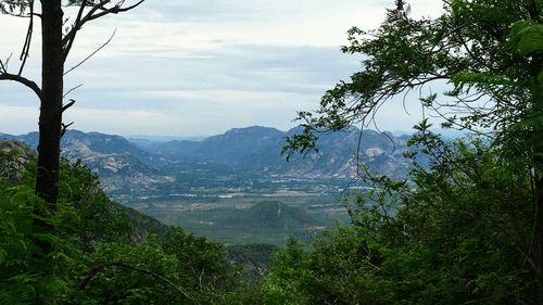 A scenic view of mountains and a valley from a high vantage point with trees in the foreground.
