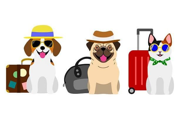 A group of playful dogs and a cat with luggage bags, ready for an adventure.