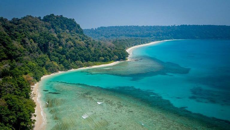 Aerial view of a tropical beach curving along a lush forest and clear blue waters