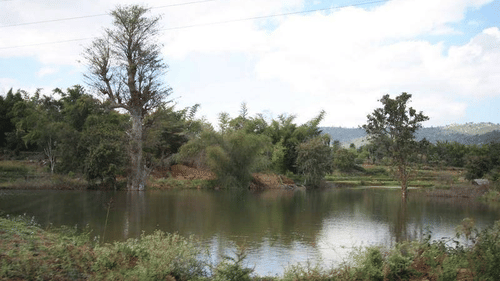 A lake with clear water surrounded by greenery.