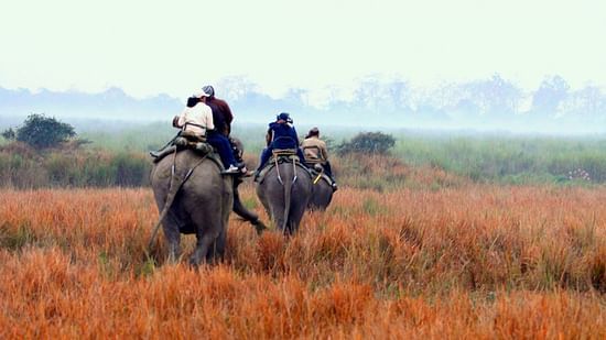 esafari 2500