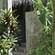 villas in Siargao, rent a villa in Siargao, houses for rent in Siargao, Siargao villasBravo modified-7