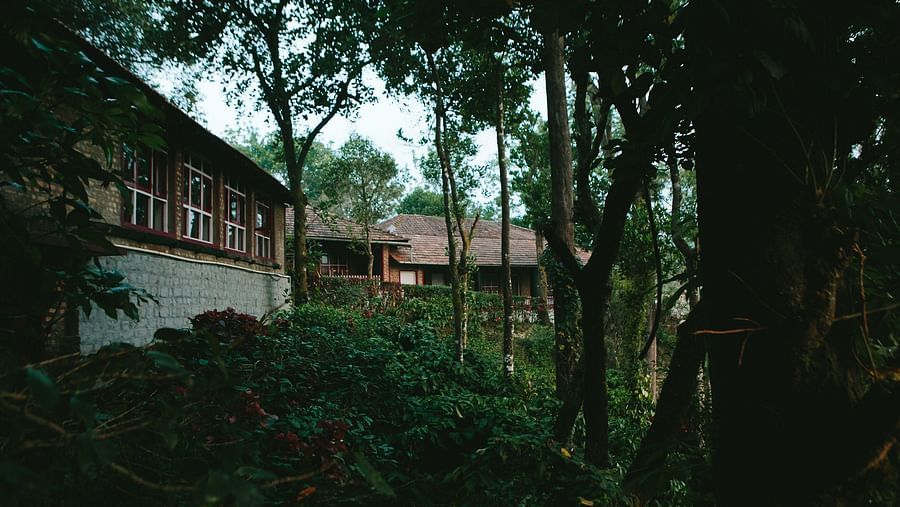 An overview of the buildings with nature cover at Capitol Village Resort Madikeri
