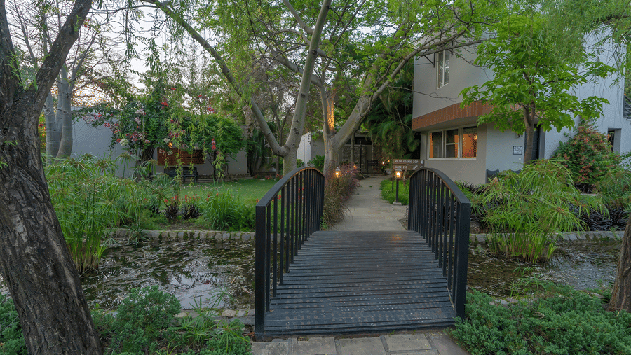 A bridge over a small pond leading to a building surrounded by trees and greenery at The Golden Tusk, Jim Corbett