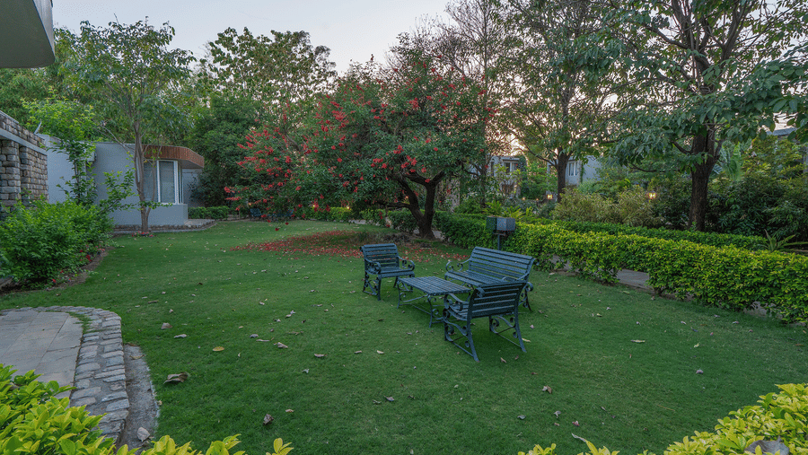 garden lawn with a table and chairs for outdoor dining or seating, surrounded by trees  at The Golden Tusk, Jim Corbett